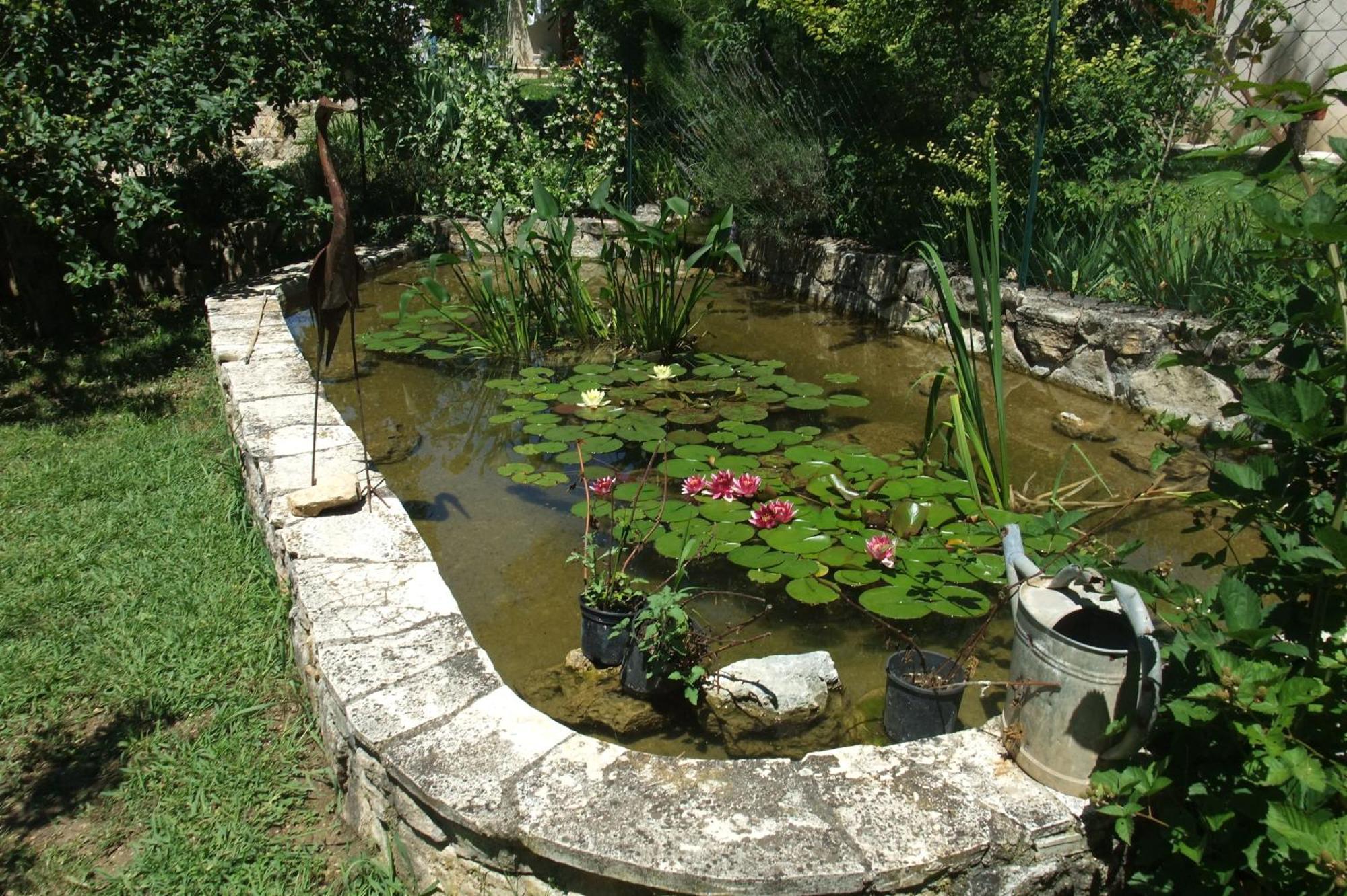 Gite La Paillote Montauroux Exterior foto