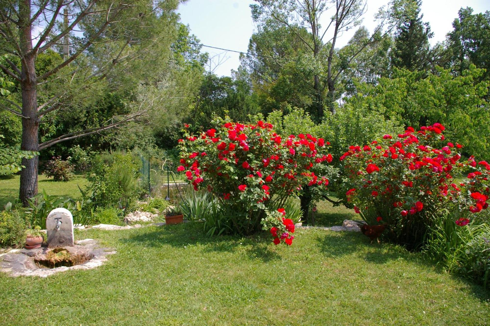 Gite La Paillote Montauroux Exterior foto